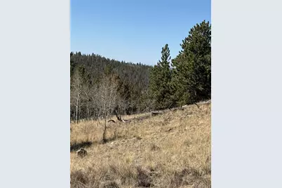 234 Warclub Court, Jefferson, CO 80456 - Photo 31