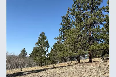 234 Warclub Court, Jefferson, CO 80456 - Photo 25