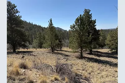 234 Warclub Court, Jefferson, CO 80456 - Photo 39