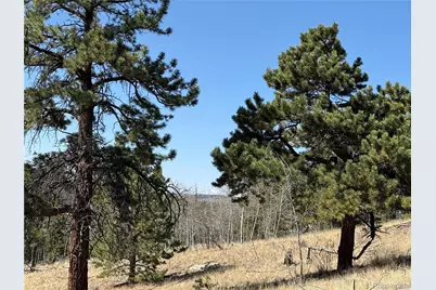 234 Warclub Court, Jefferson, CO 80456 - Photo 29
