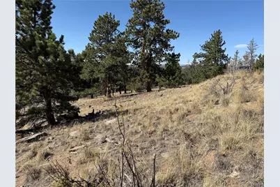 234 Warclub Court, Jefferson, CO 80456 - Photo 35