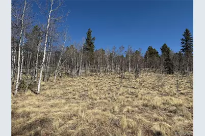 234 Warclub Court, Jefferson, CO 80456 - Photo 21