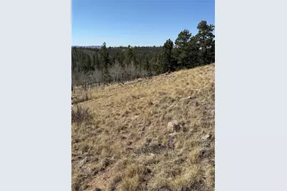234 Warclub Court, Jefferson, CO 80456 - Photo 33