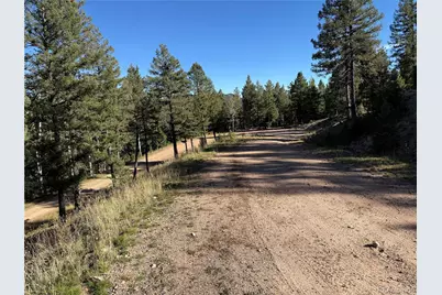 9626 Wallow Court, Conifer, CO 80433 - Photo 11