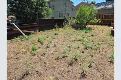 1150 Roslyn Street, Denver, CO 80220 - Photo 7