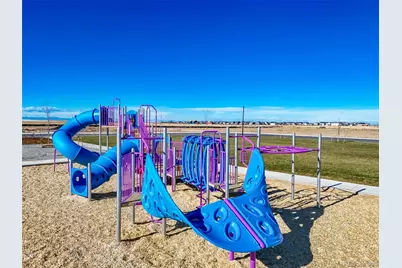 46569 Sunflower Lane, Bennett, CO 80102 - Photo 45