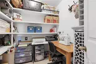 607 Meadow Station Cir, Parker, CO 80138 - Photo 31