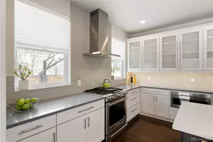 3031 S Birch St, Denver, CO 80222 - Photo 11