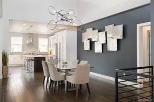 3031 S Birch St, Denver, CO 80222 - Photo 19