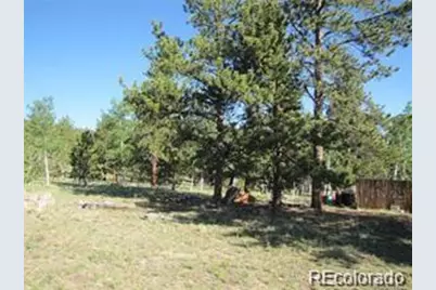 257 Bolster Drive, Hartsel, CO 80449 - Photo 3