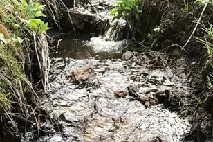 637 Rock Rd, Bailey, CO 80421 - Photo 29