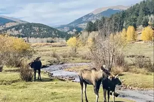 637 Rock Rd, Bailey, CO 80421 - Photo 49