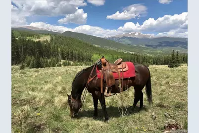 637 Rock Road, Bailey, CO 80421 - Photo 47