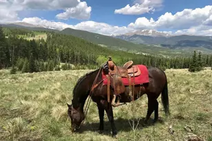 637 Rock Rd, Bailey, CO 80421 - Photo 47