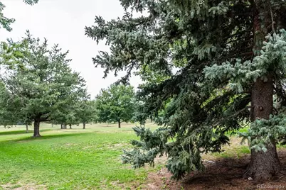 14767 E Wagon Trail Drive, Aurora, CO 80015 - Photo 31