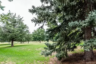 14767 E Wagon Trail Dr, Aurora, CO 80015 - Photo 31