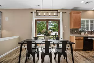 3528 Wonder Dr, Castle Rock, CO 80109 - Photo 17