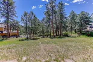 2838 Olympia Cir, Evergreen, CO 80439 - Photo 45