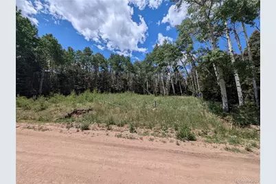 3070 Henderson Drive, Fort Garland, CO 81133 - Photo 1