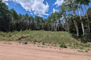 3070 Henderson Dr, Fort Garland, CO 81133 - Photo 1