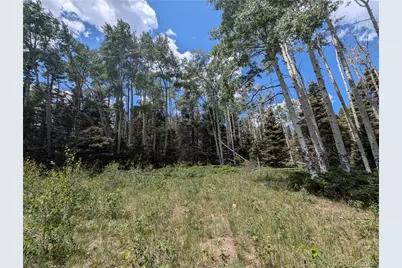 3070 Henderson Drive, Fort Garland, CO 81133 - Photo 3