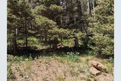 3070 Henderson Drive, Fort Garland, CO 81133 - Photo 9