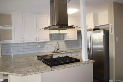 800 N Washington Street #803, Denver, CO 80203 - Photo 3