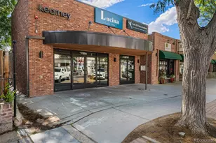 2041 Grape St, Denver, CO 80207 - Photo 47