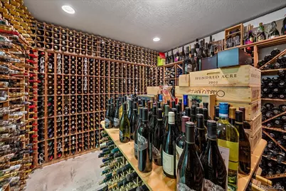 11421 Random Valley Circle, Parker, CO 80134 - Photo 47