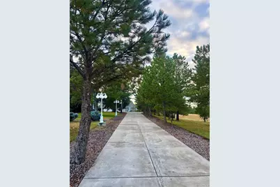 11421 Random Valley Circle, Parker, CO 80134 - Photo 5