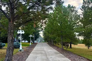 11421 Random Valley Cir, Parker, CO 80134 - Photo 5