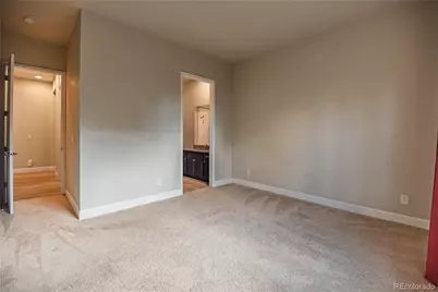 10165 Concordia Street, Parker, CO 80134 - Photo 23