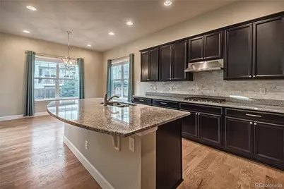 10165 Concordia Street, Parker, CO 80134 - Photo 19
