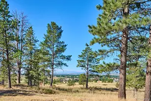 8830 Witez Ct, Parker, CO 80134 - Photo 3