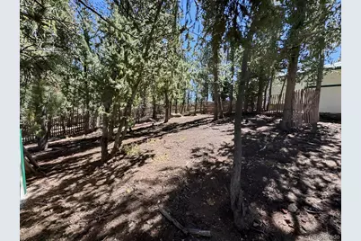 503 Buffalo Ridge Road, Como, CO 80456 - Photo 23