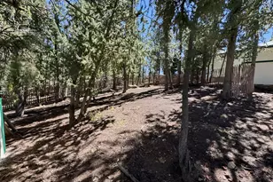 503 Buffalo Ridge Rd, Como, CO 80456 - Photo 23