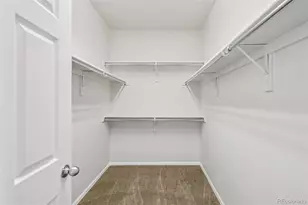 3878 Desert Ridge Cir, Castle Rock, CO 80108 - Photo 19