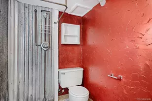 327 Virginia St, Idaho Springs, CO 80452 - Photo 15