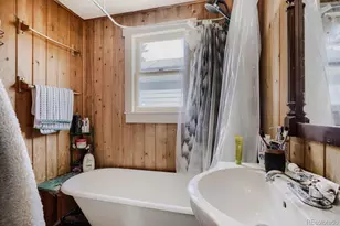 327 Virginia St, Idaho Springs, CO 80452 - Photo 29