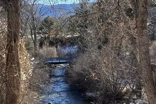 10795 Co Rd 197A, Nathrop, CO 81236 - Photo 11