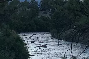 10795 Co Rd 197A, Nathrop, CO 81236 - Photo 35