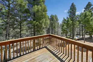 82 Apache Creek, Florissant, CO 80816 - Photo 23