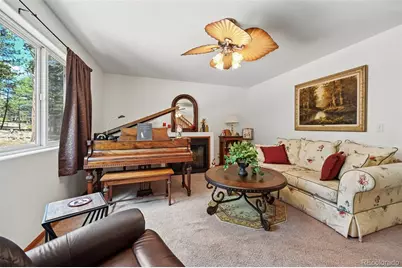 82 Apache Creek, Florissant, CO 80816 - Photo 7