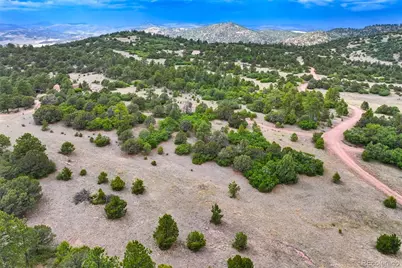 433 Antler Hill Trail, Canon City, CO 81212 - Photo 47