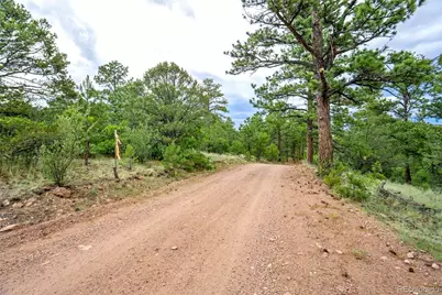 433 Antler Hill Trail, Canon City, CO 81212 - Photo 37