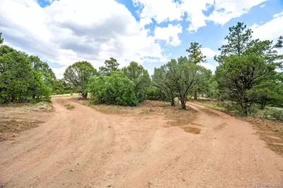 433 Antler Hill Trail, Canon City, CO 81212 - Photo 41
