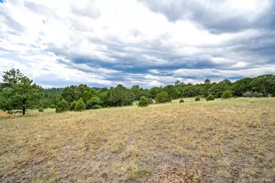 433 Antler Hill Trail, Canon City, CO 81212 - Photo 35