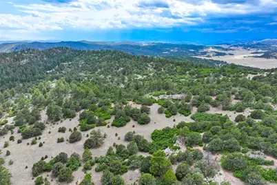 433 Antler Hill Trail, Canon City, CO 81212 - Photo 45