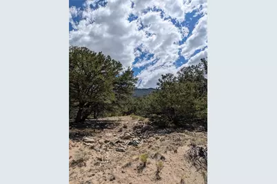 1842 Lone Pine Way, Crestone, CO 81131 - Photo 17