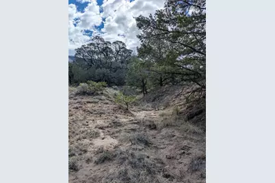 1842 Lone Pine Way, Crestone, CO 81131 - Photo 7
